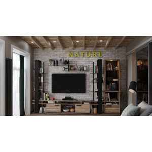 Гостиная NATURE (комплект 5)
