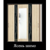 Шкаф-купе Уют Люкс 1600 (ТЭКС)