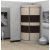 Угловой шкаф-купе Радион 2